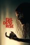 Evil Dead Rise (2023) Evil Dead Rise (2023)