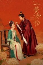 Drama China A Dream like the True Love (2025)