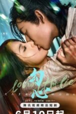 Drama China Loving the Lie (2025)