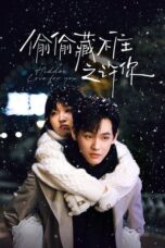 Drama China Hidden Love for You (2025)