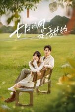 Drama China Love Blossoms with the Wind (2025)