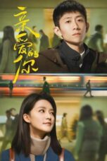 Drama China The Wonderful World (2025)
